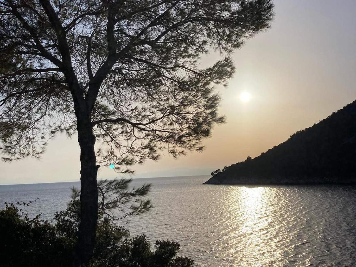 Alexandra Sofia Apartment Stafylos Bagian luar foto